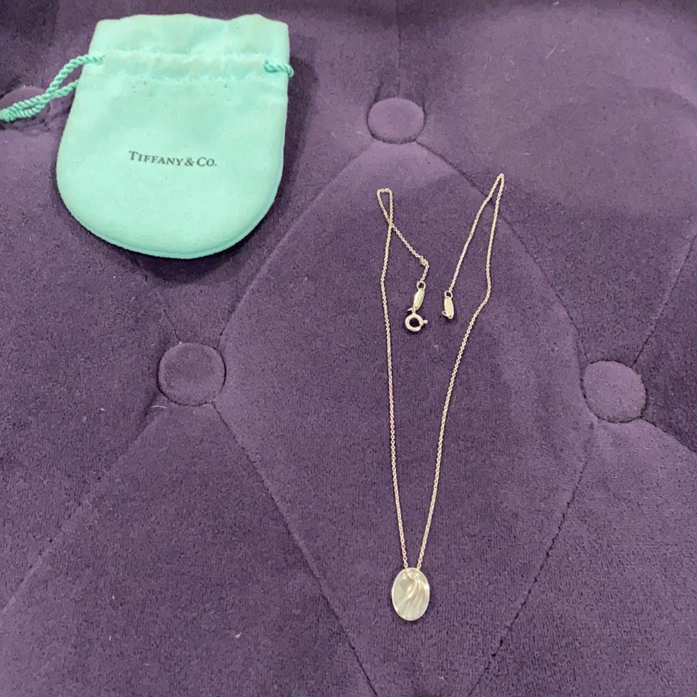 Tiffany & Co Elsa peretti Aquarius zodiac pendant necklace